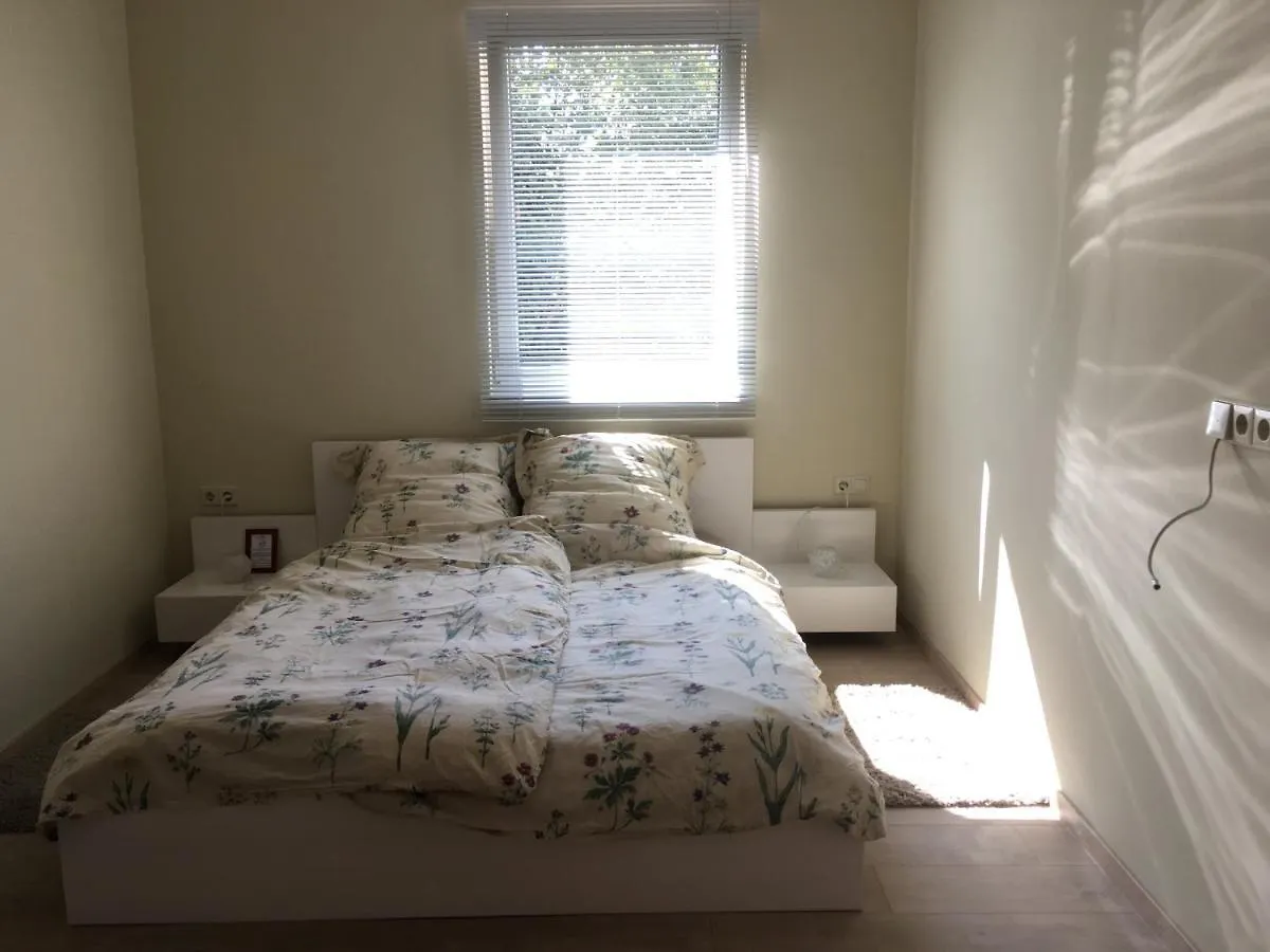 Apartment die Senfbude - wunderschöne 2-Raum-Apartments mit Stellplatz, ruhig und elegant! Leipzig Deutschland